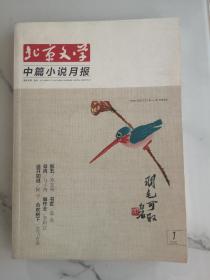 北京文学，中篇小说月报，2020.1