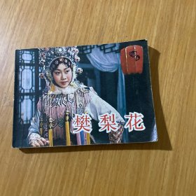 樊梨花A