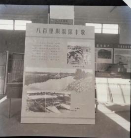 1966安徽省农业展览馆底片一张：南陵县柏山渠“八百里坝渠保丰收”展览实景（210701）
