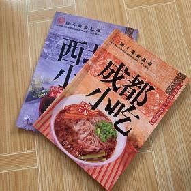 唐人美食丛书：西北小吃、成都小吃