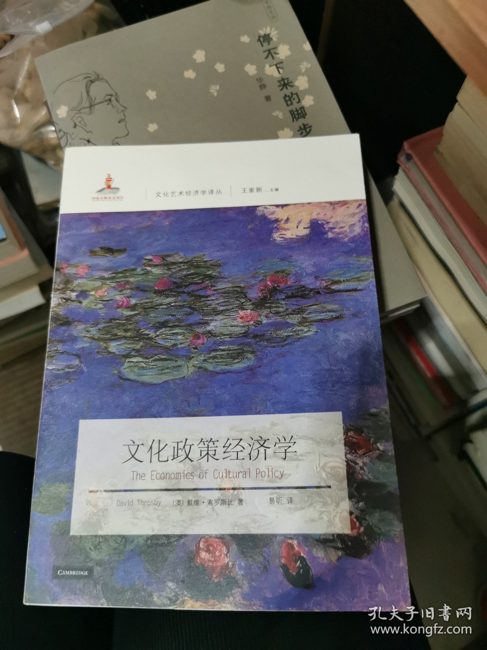 文化政策经济学，书架2