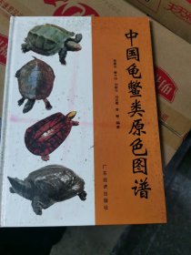 中国龟鳖类原色图谱