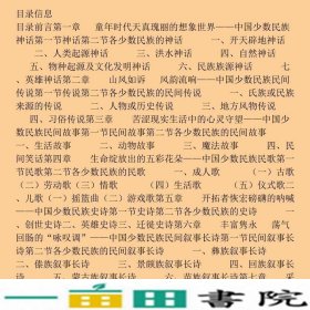 多元多彩各美其美-走进中国少数民族文学邹华知识产权出9787513040129