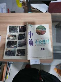 中篇小说选刊1993年第3期