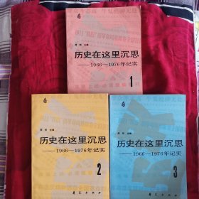 历史在这里沉思（1、2、3）（九品强）（12柜较东）