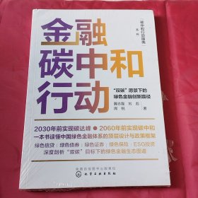 碳中和行动指南--金融碳中和行动：“双碳”愿景下的绿色金融创新路径