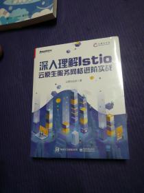 深入理解Istio：云原生服务网格进阶实战