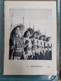 新华社展览照片 原封套 人民武装的两面红旗-河北郭庄河南留庄民兵营 一套24张全 1964年版
