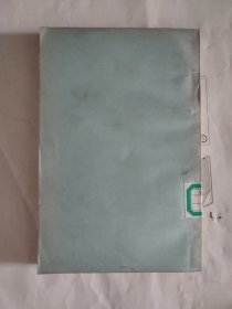 PROTEIN SYNTHESIS Volume1 蛋白质合成第一卷