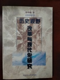 历史视野改革与现代化研究