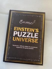 Einstein’s puzzle universe