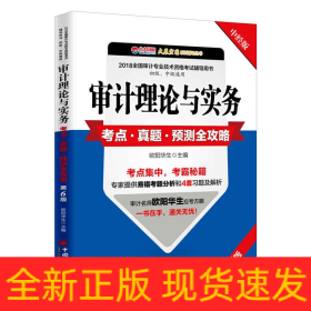 审计理论与实务考点 真题 预测全攻略