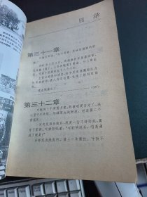 血路:新四军征战纪实之谜（上下）