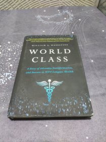 World Class: A Story of Adversity, Transformation, and Success at Nyu Langone Health