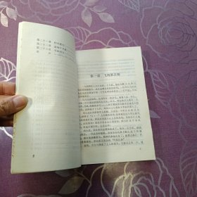 代号红叶