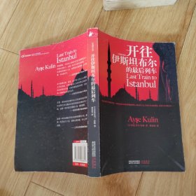 来往伊斯坦布尔的最后列车