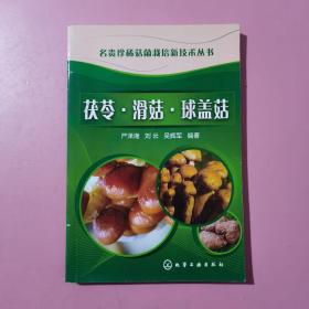 名贵珍稀菇菌栽培新技术丛书：茯苓、滑菇、球盖菇