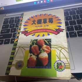 大棚草莓