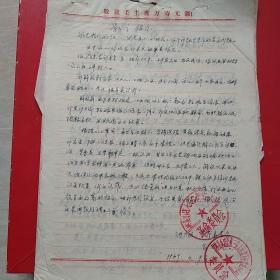 1969年4月9日，检举揭发类材料 11张，河南省林县（今林州市）。（生日票据，历史档案，手写资料类收据）。（37-5）