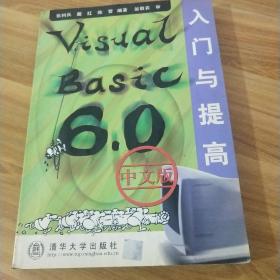 Visual Basic 6.0中文版入门与提高