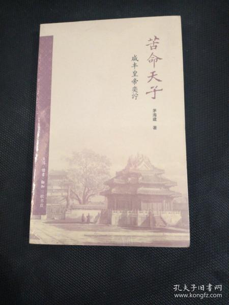 苦命天子：咸丰皇帝奕詝