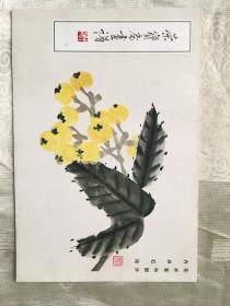 荣宝斋画谱：花卉草虫部分 齐白石绘 【89年2版】