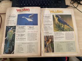 wildbird 野鸟杂志1999年两本合售