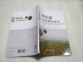 彩图版羊肚菌实用栽培技术