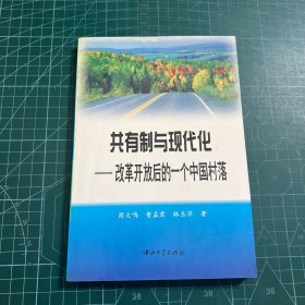 共有制与现代化:改革开放后的一个中国村落