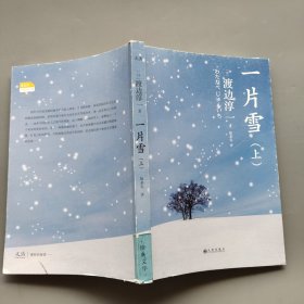 一片雪上