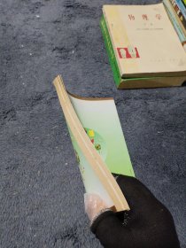 R 小学英语智力训练