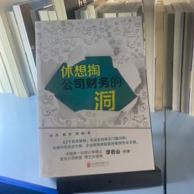 休想掏公司财务的洞