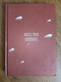 切尔诺贝利的悲鸣