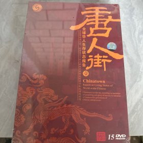 唐人街全球华人生存状态报告