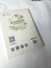 逐层讲透中药：揭示中药用法不传之秘/中医入门系列