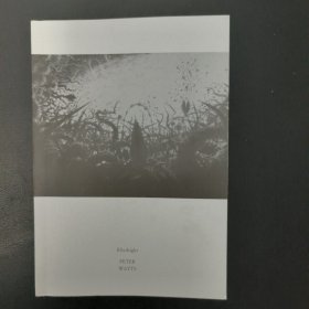 盲视