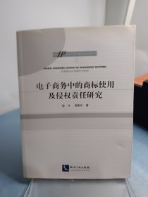 IP知识产权专题研究书系：电子商务中的商标使用及侵权责任研究