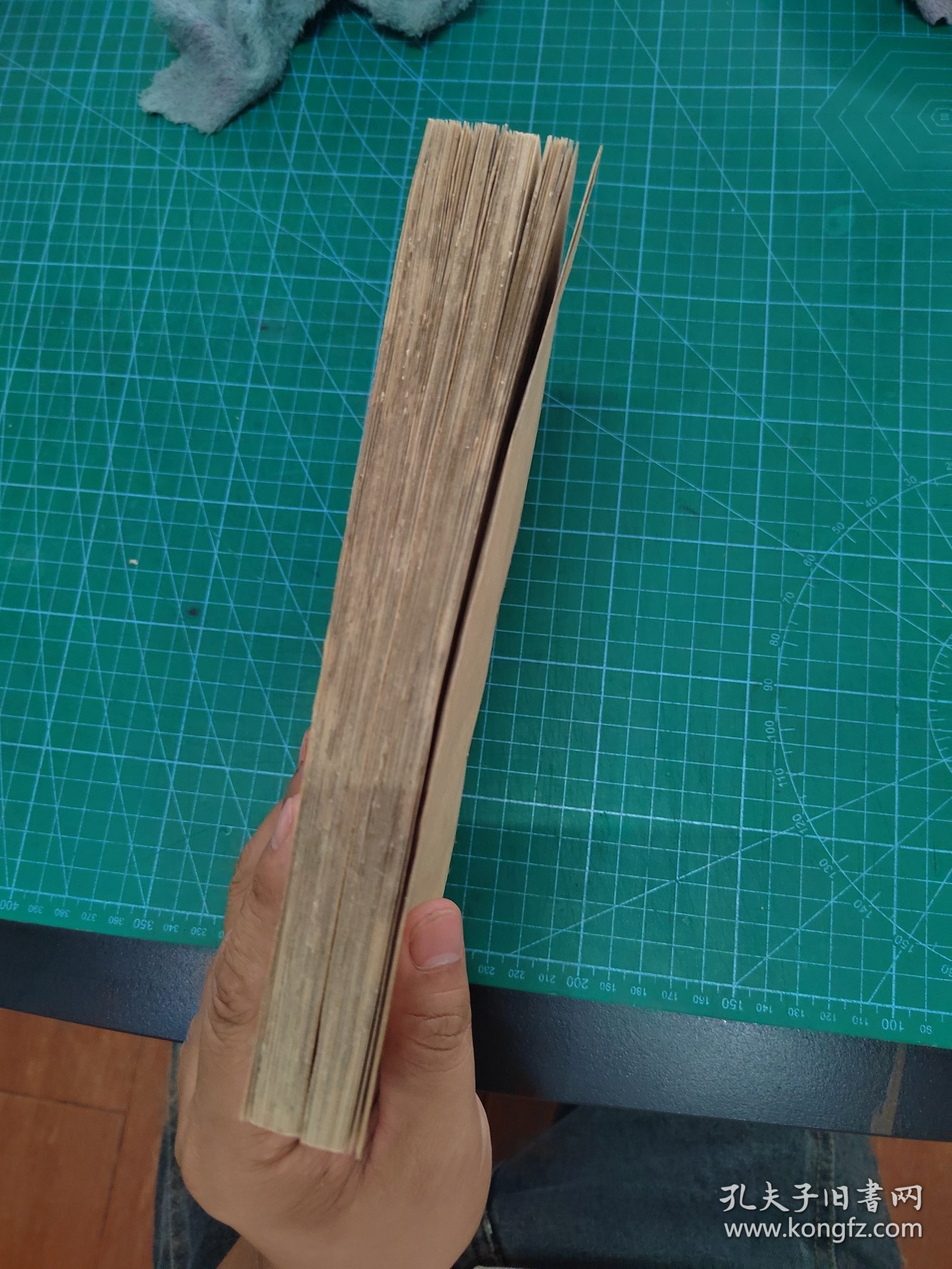 中医秘密，蝇头小楷中医手抄秘方医书