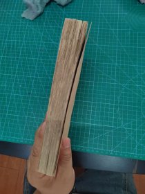 中医秘密，蝇头小楷中医手抄秘方医书