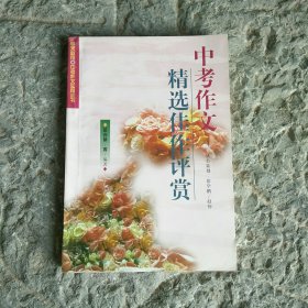 中考作文精选佳作评赏