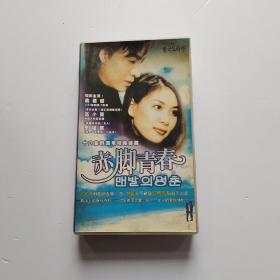 赤脚青春 【韩国电视连续剧——裴勇俊 高小英 李锺原】12VCD