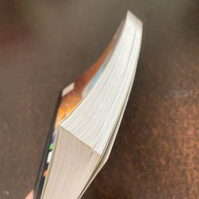 Python数据科学指南