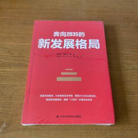 奔向2035的新发展格局【全新未开封实物拍照现货正版】