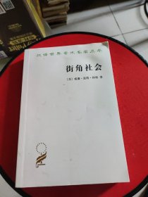 街角社会：一个意大利人贫民区的社会结构（正版）