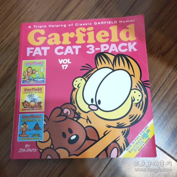 Garfield Fat Cat 3-Pack #17