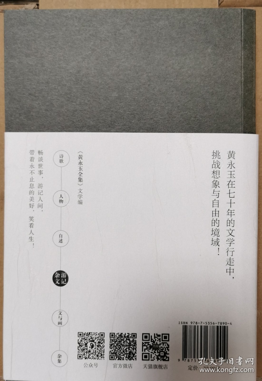 黄永玉全集·文学编：杂文游记