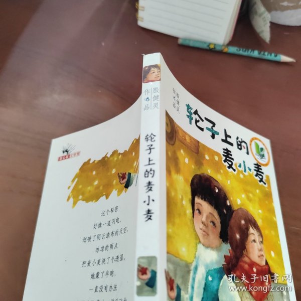 轮子上的麦小麦——国际林格伦纪念奖2013 年度提名作者；悬念迭起，幽默而忧伤，成长往往在一夜之间（蒲公英童书馆出品）