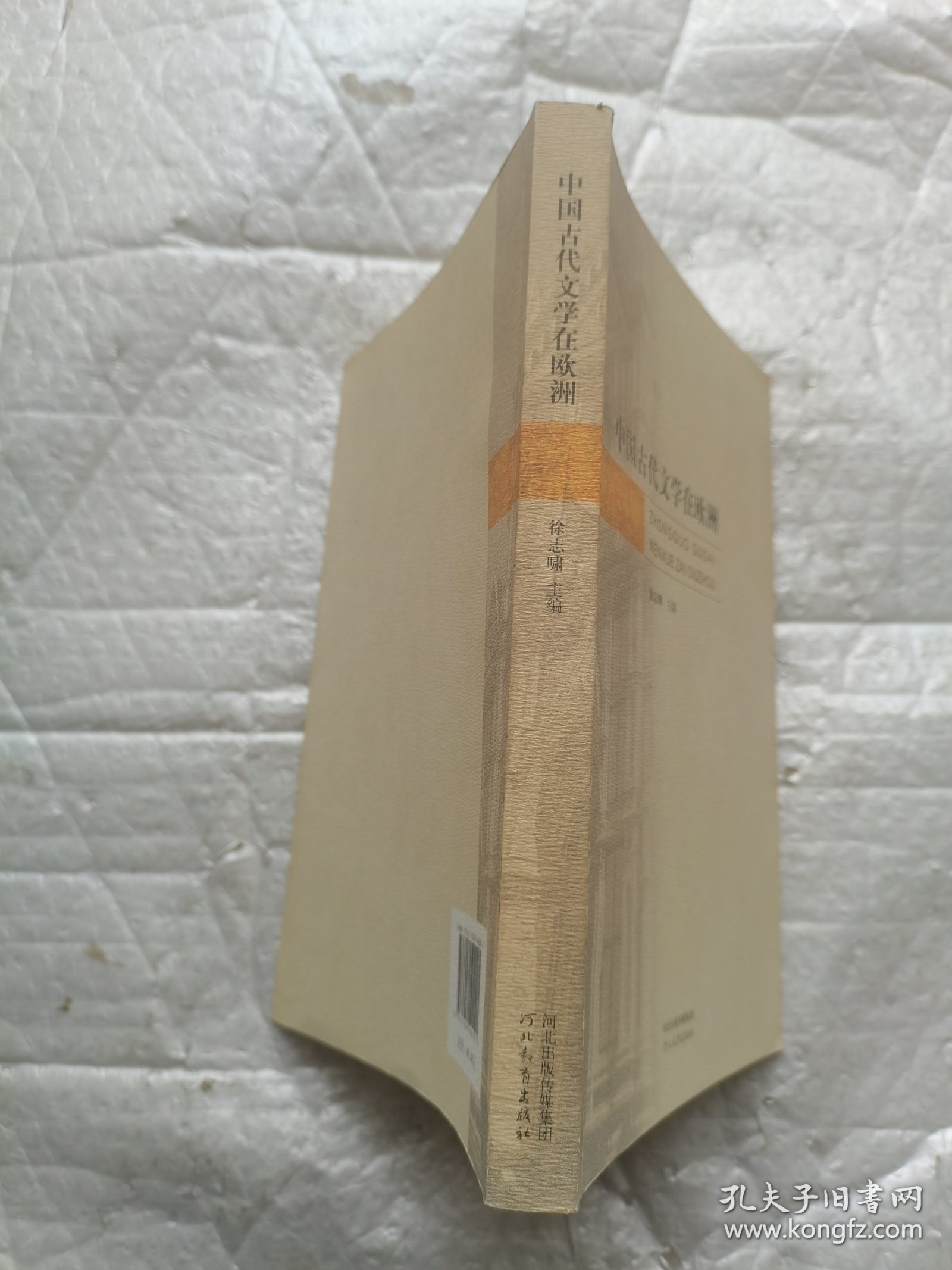 中国古代文学在欧洲