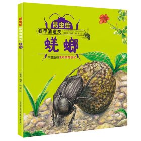 正版书精装绘本昆虫绘：铁甲清道夫--蜣螂