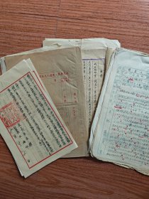 五十年代南充县五龙乡杨xx材料50多页（南充县第六普选人民法庭刑事判决书4份，毛笔书写的坦白交待、自传，群众写的“请转人民政府”，检举材料…）